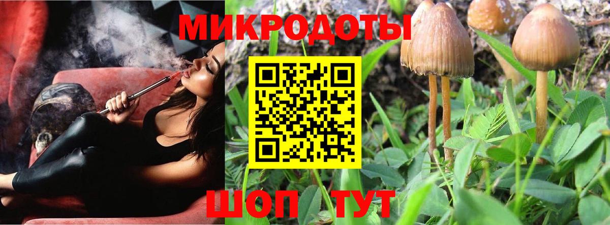 Галлюциногенные грибы MAGIC MUSHROOMS  Галлюциногенные грибы Psilocybe  как найти   Вход с VPN  Минусинск 